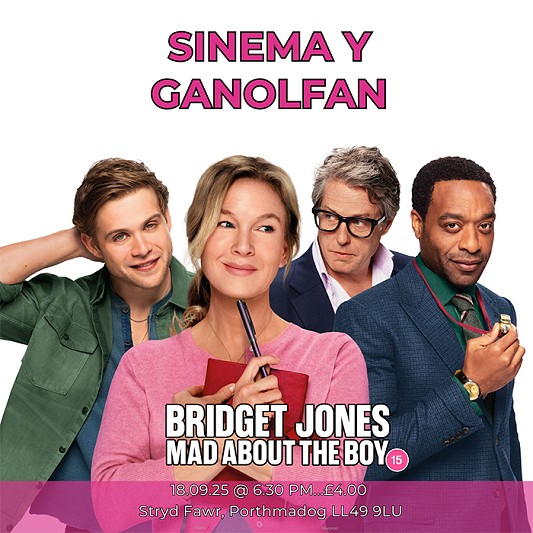 poster bridget jones - mad about the boy