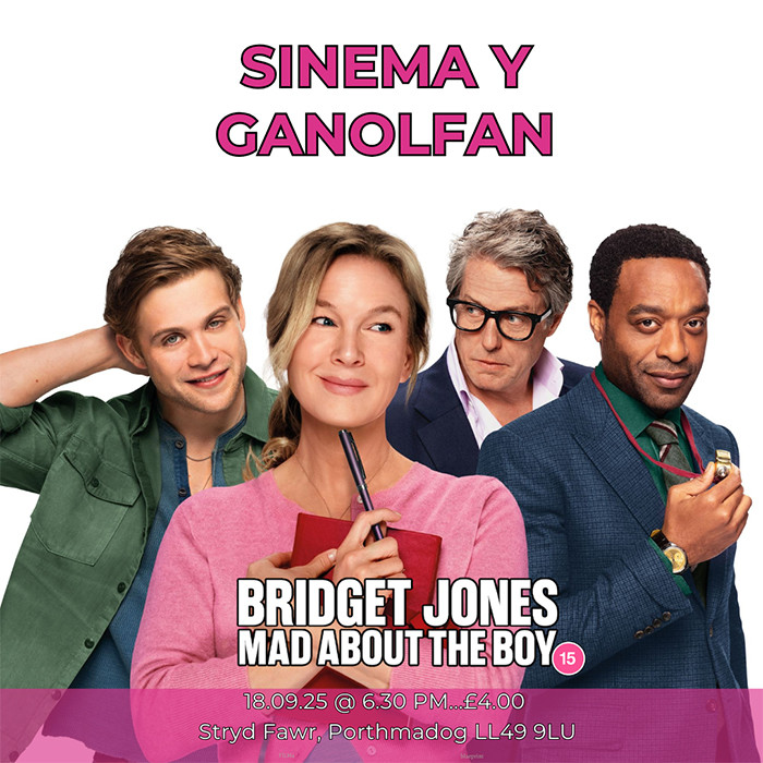 bridget jones - mad about the boy poster