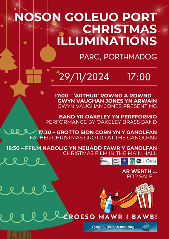 port christmas illuminations poster